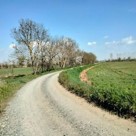 Ra Ca D' Angela